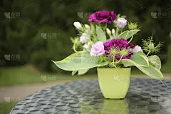 花的活动中心:紫色，紫红色，洋红，和绿色插花