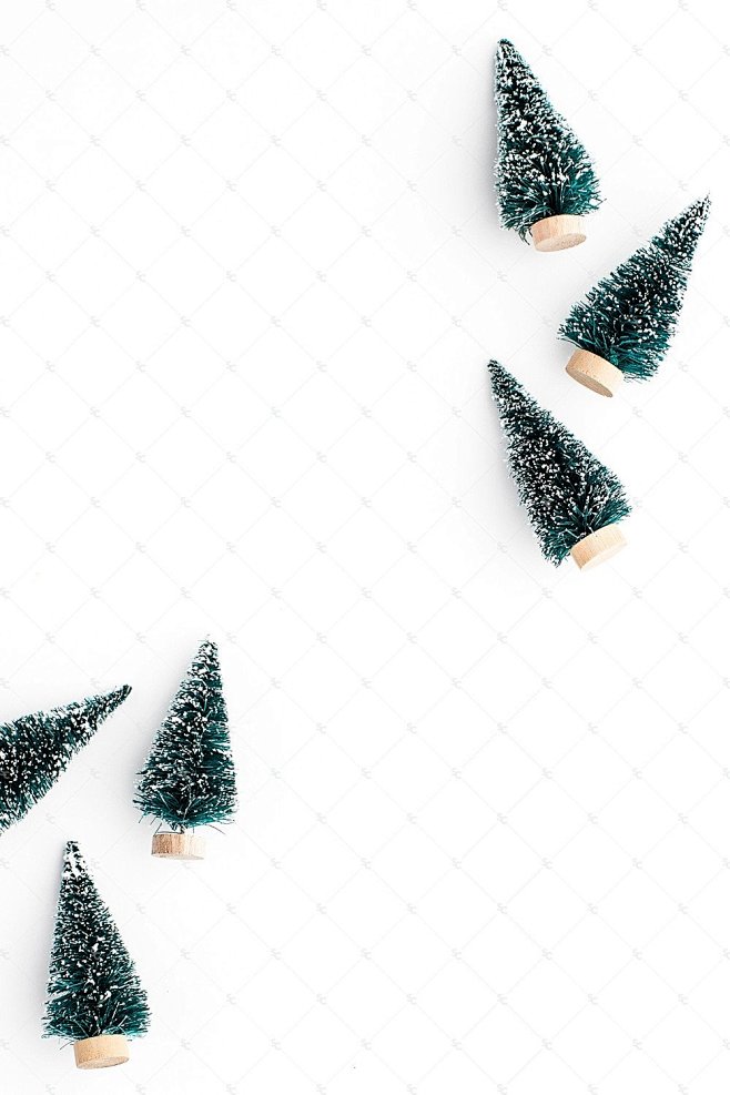 Seasonal Holiday Col...