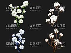 棉花  - 源文件下载【酷图网】棉花,手绘棉花,棉花插画,棉花树,手绘棉花树,棉花素材,棉花元素,