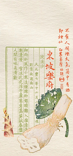 You-优采集到插画