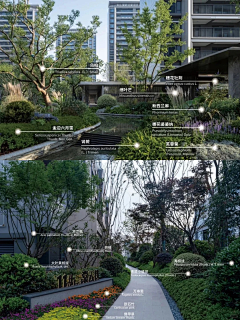 LLL``采集到W植物品种 种植说明