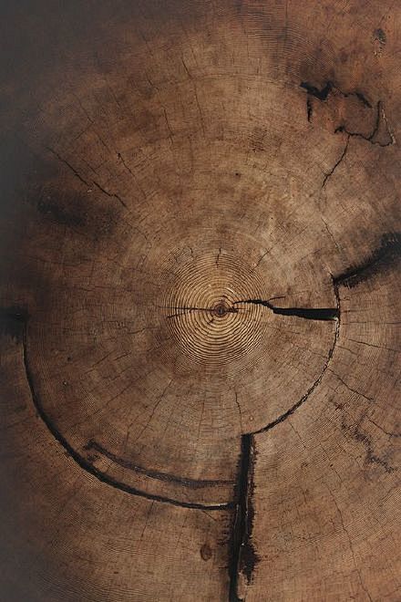 chrome扩展采集于2015-07-12 13:57:52岁月的痕迹 · 年轮3喜欢摄影