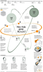Has Asia gone M.A.D.?: 