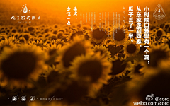 Colors-Jaron采集到MORE+情感