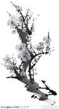 中国国画之花类植物-梅花墨画
