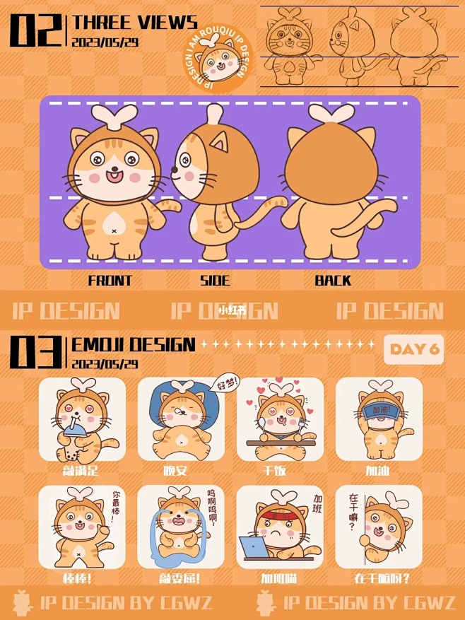 IP 设计排版