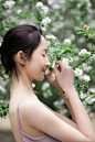 樱花 - 汤圆 - CNU视觉联盟