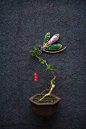 陈湘记 942#樱花舒俱来翡翠吊坠 18K金镶嵌宝石胸针 蜻立小荷-淘宝网