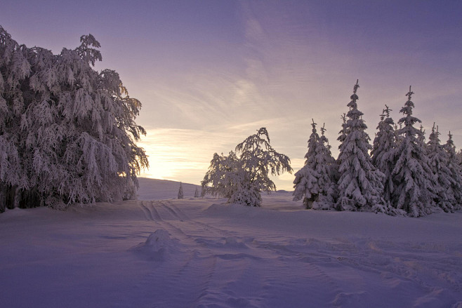 Morning light by dum...
