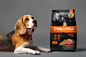 DOG＆MAN宠物食品现代包装---酷图编号1230027