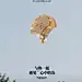 来自分享