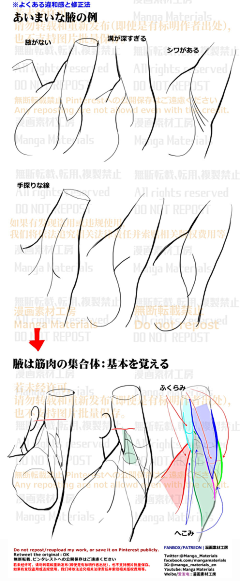 持暮采集到人体