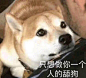 李毅吧-百度贴吧--努力！主宰自己命运！众人皆帝！--百度人气最旺盛的贴吧！恶搞精神、原创主义在这里盛行！我们是网络流行文化的原创者，起源地！我们不是任何人的粉丝！我们是恶搞的爱好者！这里是展示平民才华的