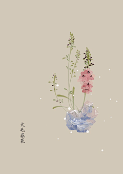 钢琴の精灵采集到生日花语