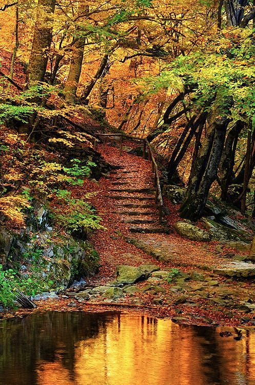 #美景#