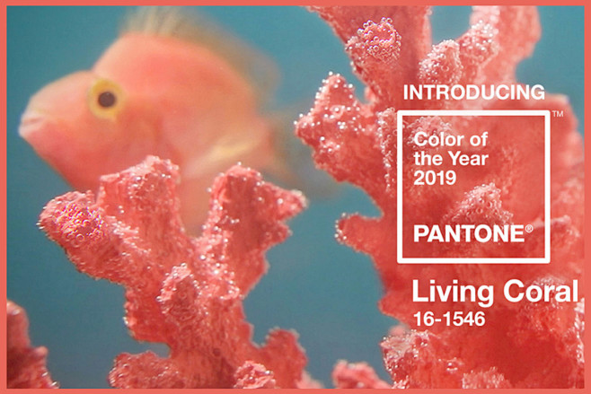 Pantone 2019 color o...