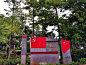 src=http://ww3.sinaimg.cn/large/6365313cgw1f81hd0vft9j22io1w0qv7.jpg&refer=http://www.sina.com&app=2002&size=f9999,10000&q=a80&n=0&g=0n&fmt=jpeg (3264×2448)