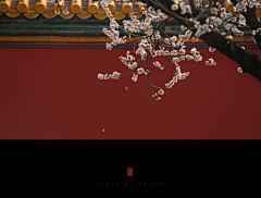 咦嘻嘻嘻嘻嘻采集到摄影