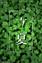 源文件下载 夏季清爽小清心自然绿色植物叶子立夏设计海报 