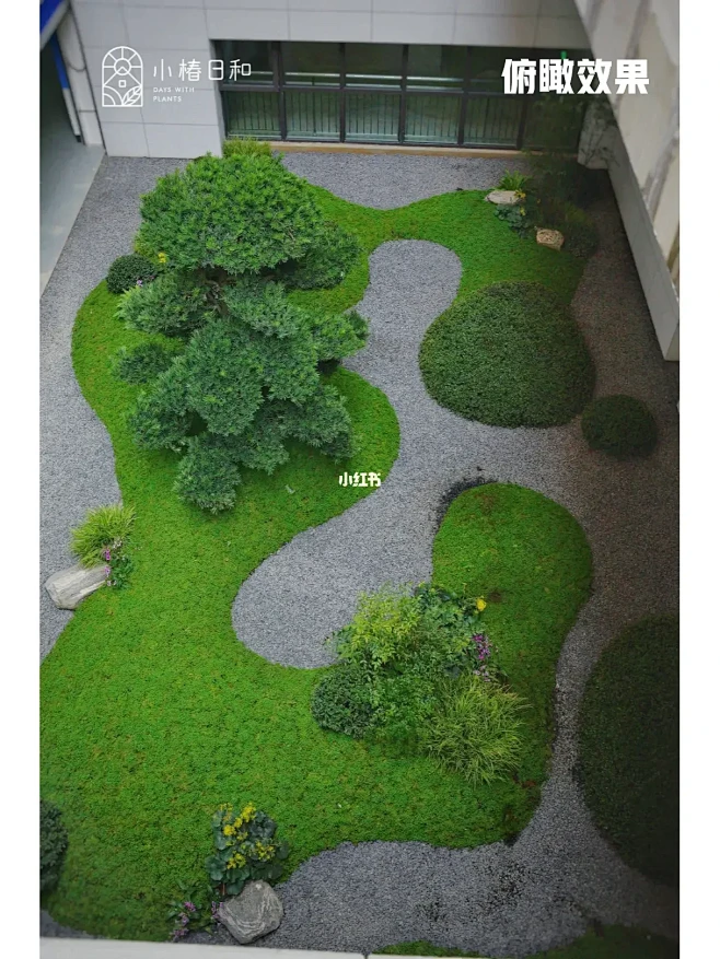 打造高级感阴生花境