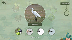 汉堡里的生菜采集到UI界面