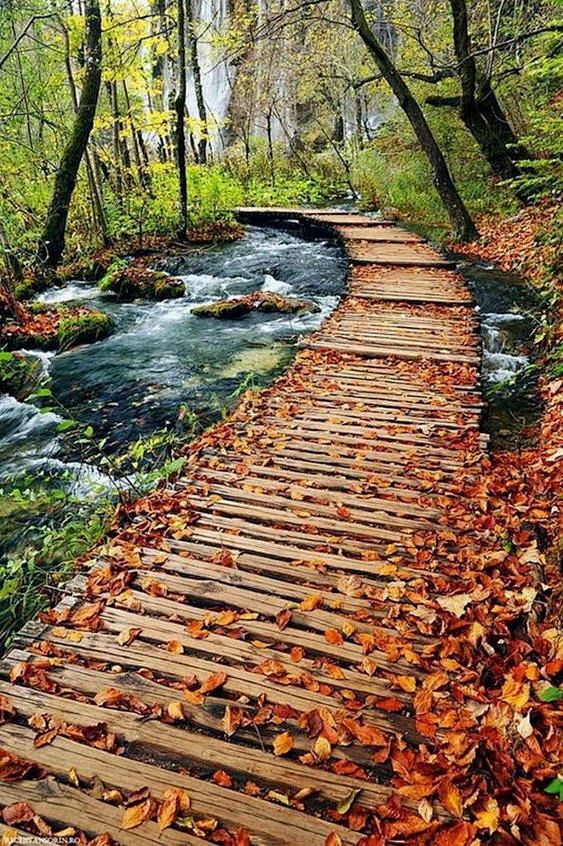 (180) Pinterest