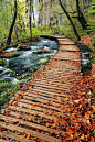 (180) Pinterest