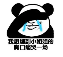 95我想埋到小姐姐的胸口痛哭一场