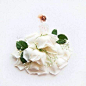 【马来西亚艺术家limzy的创意作品 ---- 鲜花的美  女人的香】
马来西亚艺术家Limzy的创意花卉插画作品，她将水彩和花瓣相结合，用水彩勾勒出这些曼妙的身姿，再配上优雅大方的鲜花裙子，真的美的让人无法言语。想看更多Limzy的作品，可以关注她的：
http://fb.com/lovelimzy
lovelimzy@gmail.com 