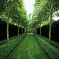 Peter Fudge Garden design