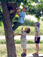 Climbing trees: 