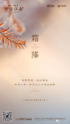 张扬的人生采集到霜降