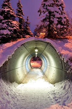 沙拉采集到雪景