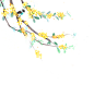 迎春花