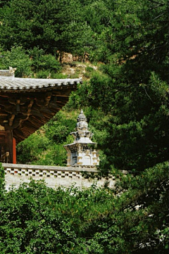 用户xOl4wM3r采集到佛光寺