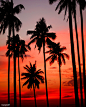 Sunset on a tropical Island