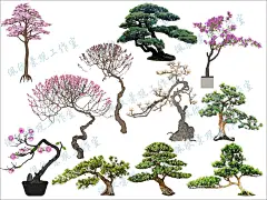 室内造型盆栽景观树植物盆景绿植罗汉松SU模型sketchup设计素材库-淘宝网