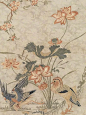 中国纹样 | 古代常见荷花纹荷花鸳鸯纹