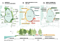 Kuilei Lake Greenway System — PLAT Studio : Kuilei Lake Greenway System Masterplan | Urban Design Location Kunshan, Jiangsu, China Year 2017 Gross Area 1,786,000 m2 Client Kunshan City...