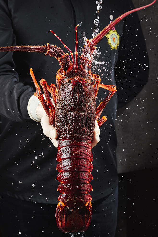 澳洲龙虾刺身