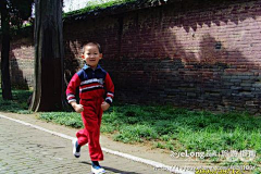 Goodmorningwestern采集到孔庙_曲阜一日, 阿宣旅