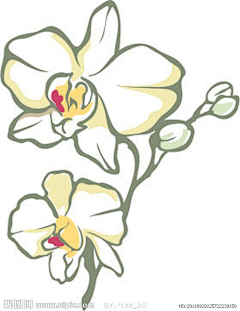 Daisy9300采集到-彩绘-