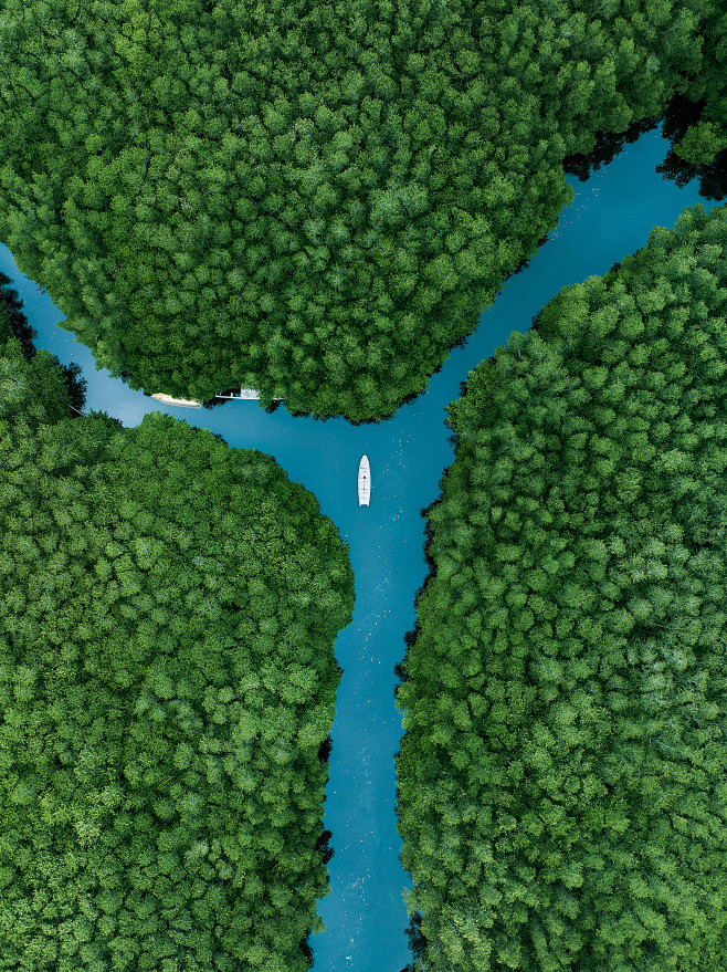 VCG41N1496637854