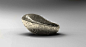 SEED | Chen Zhao