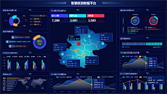 CiteS采集到可视化