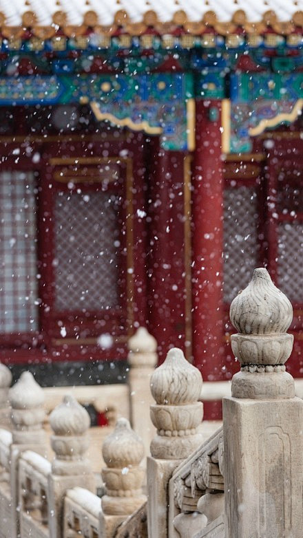 紫禁城的初雪，碎碎坠琼芳，美的一塌糊涂，...