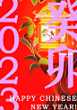 真肝，一晚上排了7张版！ - 小红书