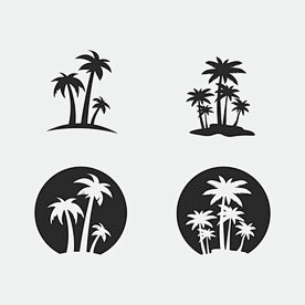 椰子树和海滩图片