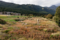 荒野花园和草甸剧场，丽江HYLLA / 致舍景观 : 许拍以东的一岁与枯荣