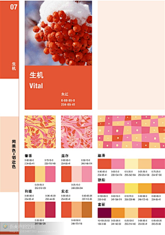 童话的森林采集到色彩